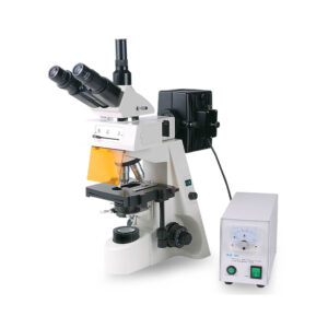 Microscopio de Fluoresencia "3002-F"